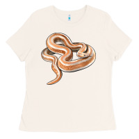 Bone Rosy Boa Snake Illustrations Ladies Tee - LillyAllenDesigns