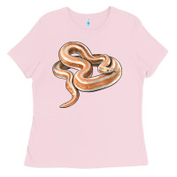 Bubblegum Pink Rosy Boa Snake Illustrations Ladies Tee - LillyAllenDesigns