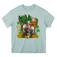 Arona st patricks donkeys with  shamrocks Heavy Core Tee - AdoDesignShop