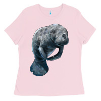Manatee Illustrations Ladies Tee | Teevron