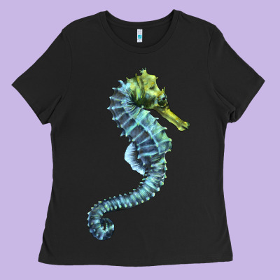 Blue Seahorse Ladies Tee Designed By Lillyallendesigns