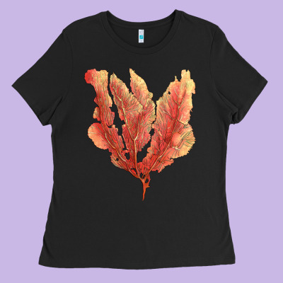Pink Venus Fan Sea Coral Ladies Tee Designed By Lillyallendesigns