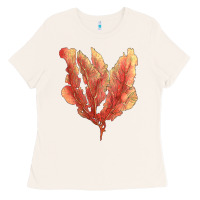 Bone pink venus fan sea coral Ladies Tee - LillyAllenDesigns