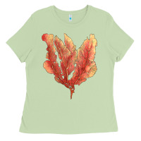 Matcha pink venus fan sea coral Ladies Tee - LillyAllenDesigns