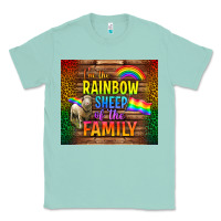 Seafoam I'm The Rainbow Sheep Of The Family Tumbler Classic Tee - BundleAndBundleShop