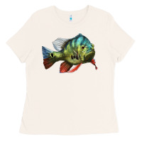 Bone Peacock Bass Illustrations Ladies Tee - LillyAllenDesigns