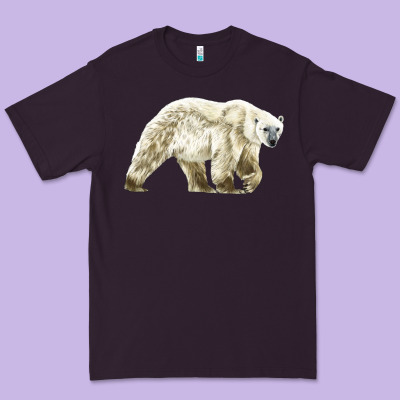 Polar Bear Premium Tee Designed By Lillyallendesigns