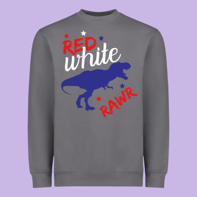 4th Of July Dinosaur Heavyweight Sweatshirt Designed By Bettercallsaul