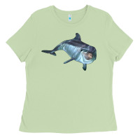 Matcha bottlenose dolphin Ladies Tee - LillyAllenDesigns