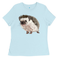 Baby Blue Hedgehog Illustrations Ladies Tee - LillyAllenDesigns
