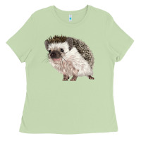 Matcha Hedgehog Illustrations Ladies Tee - LillyAllenDesigns