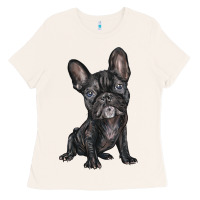 Bone french bulldog Ladies Tee - BarkalooDesign