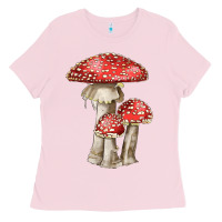 Autumn Mushroom Illustrations Ladies Tee | Teevron