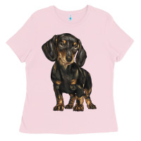 Bubblegum Pink dachshund Ladies Tee - BarkalooDesign