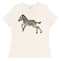 Bone Baby Zebra Ladies Tee - LillyAllenDesigns