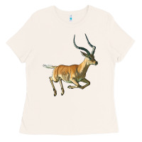 Bone Impala Antelope Illustrations Ladies Tee - LillyAllenDesigns