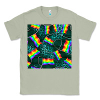 Pride Lgbtq Flags With Leopard Seamless Pattern Classic Tee | Teevron