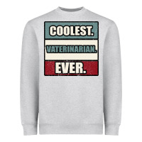 Heather Grey coolest veterinarian ever Heavyweight Sweatshirt - Bettercallsaul