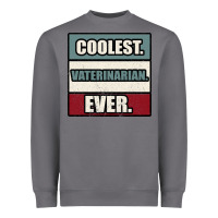 Storm coolest veterinarian ever Heavyweight Sweatshirt - Bettercallsaul