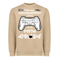 Mushroom I Survived Quarantine Level Next Fifth Grade Heavyweight Sweatshirt - Bettercallsaul