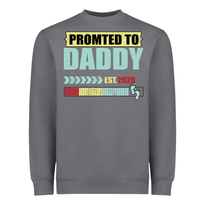 Promoted To Daddy Est 2020 Heavyweight Sweatshirt by Bettercallsaul | Teevron