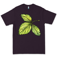Plum green leaf Premium Tee - BarkalooDesign