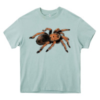 Mexican Red Knee Tarantula Heavy Core Tee | Teevron