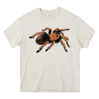 Cream Mexican Red Knee Tarantula Heavy Core Tee - LillyAllenDesigns