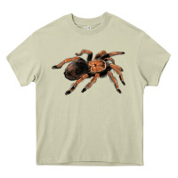 Mossy Mexican Red Knee Tarantula Heavy Core Tee - LillyAllenDesigns