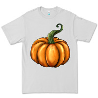 Dove Grey pumpkin Premium Tee - BarkalooDesign