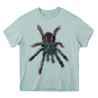 Arona Pink Toe Tarantula Heavy Core Tee - LillyAllenDesigns