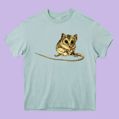 Dunnart Heavy Core Tee Designed By Lillyallendesigns