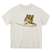 Cream Dunnart Heavy Core Tee - LillyAllenDesigns