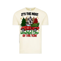 Vintage Arctic its the most wonderful time of the year Vintage Tee - MaliasSmallBusiness