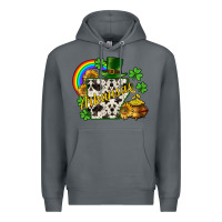 Rock Arkansas map St. Patrick's Premium Hoodie - CowGirlArtShop