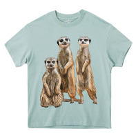 Arona 3 meerkat Heavy Core Tee - LillyAllenDesigns