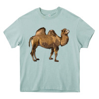 Arona Camel Heavy Core Tee - LillyAllenDesigns