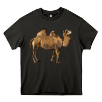 Asphalt Camel Heavy Core Tee - LillyAllenDesigns