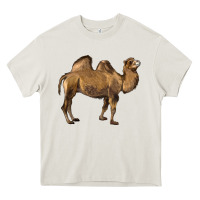 Cream Camel Heavy Core Tee - LillyAllenDesigns