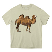 Mossy Camel Heavy Core Tee - LillyAllenDesigns