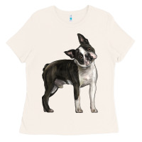 Bone Boston Terrier Ladies Tee - LillyAllenDesigns