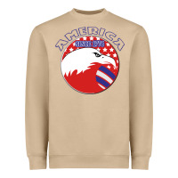 America Since 1776 Heavyweight Sweatshirt | Teevron