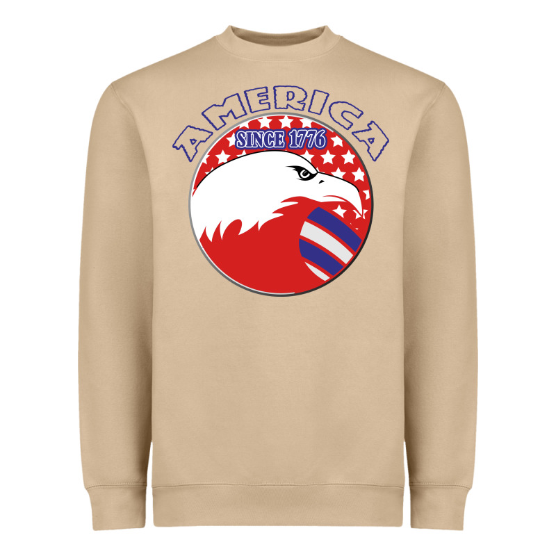 America Since 1776 Heavyweight Sweatshirt by Bettercallsaul | Teevron