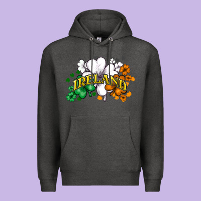 St. Patrick's Ireland Flag Premium Hoodie Designed By Howdyjamesfarm