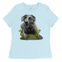 Baby Blue Texas Blue Lacy Dog Ladies Tee - LillyAllenDesigns