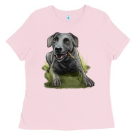 Bubblegum Pink Texas Blue Lacy Dog Ladies Tee - LillyAllenDesigns