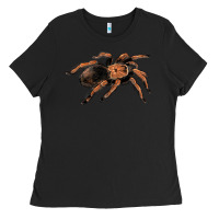 Black Mexican Red Knee Tarantula Ladies Tee - LillyAllenDesigns