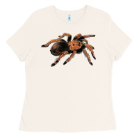 Bone Mexican Red Knee Tarantula Ladies Tee - LillyAllenDesigns