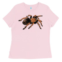 Bubblegum Pink Mexican Red Knee Tarantula Ladies Tee - LillyAllenDesigns
