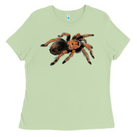 Matcha Mexican Red Knee Tarantula Ladies Tee - LillyAllenDesigns